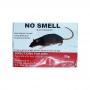 No Smell Rat Poison-Rat Dont Smell