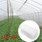 Generic 2.4x10m Veggiemesh Insect Netting Garden Crop Vegetable Prot