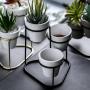 Generic 3 In1 Mini Ceramic Succulent Plant Pot Flower Planter W Stand Black A