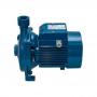 Pedrollo Heavy Duty CPM 158 - Pump 1HP- Blue