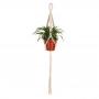 Generic Macrame Plant Hanger Indoor Outdoor Flower Pot Wall Hanging