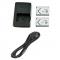 Sony X-TYPE CHARGER