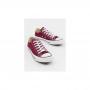 Generic Maroon Unisex Canvas