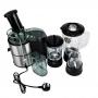 Redberry RB110 4-IN-1 Juicer And Blender