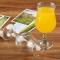 Unbreakable acrylic wine glass