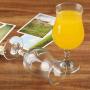 Unbreakable acrylic wine glass