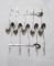 Long Tea Spoon double colour KZH