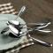 12 pieces stainless spoons