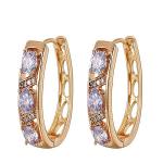 CarJay Jewels Gold Coated Lilac Earrings Loops
