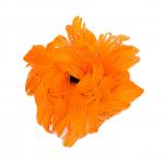 Generic Orange Russet Feather Hair Fascinator For Brides Or Brides Maids