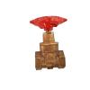 Generic Gate valve-peglar 1inch