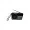 Joc Digital Fm Radio  -Black