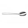 Table Spoon