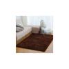 Fluffy Soft Fluffy Carpet 5*8 Brown,