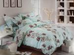 Skyblue Duvet set 4*6
