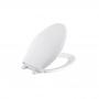 Generic Toilet Cover
