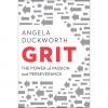 Grit: The Power of Passion and Perseverance