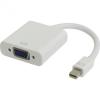 Mini Display Port to VGA Adapter