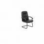 Leather chair visitor 8210V