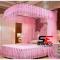 Fashion Mosquito Net With Two Stands And Rail Pink